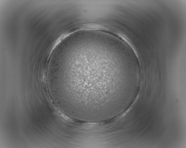 X0000079321481200611251752