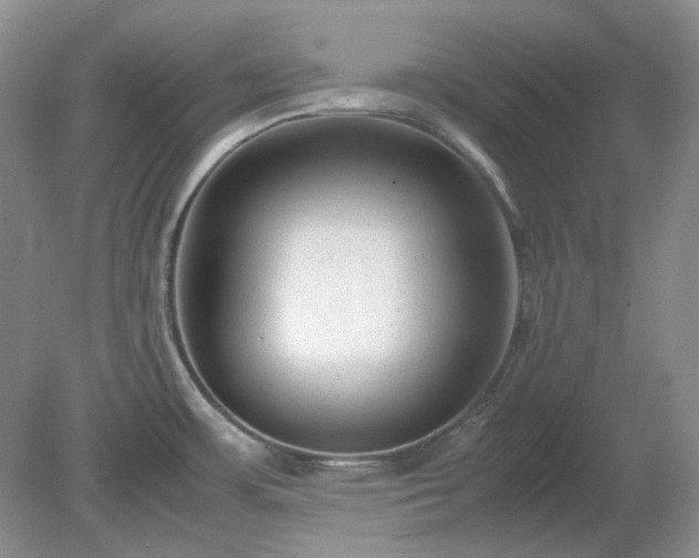 X0000079321483200611251752