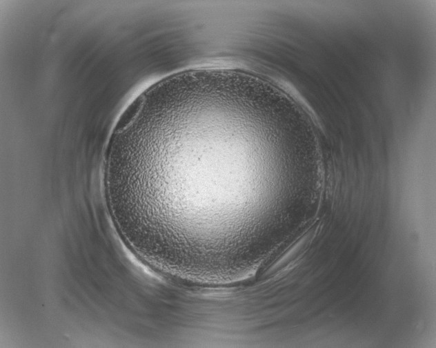 X0000079321484200611251752