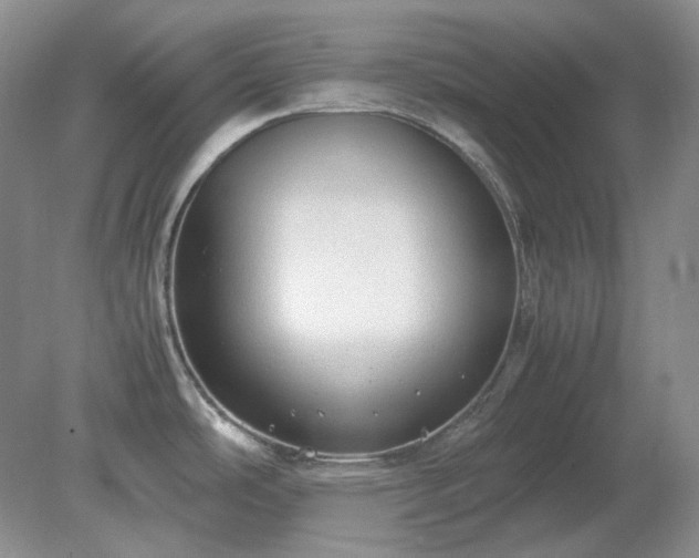 X0000079321486200611251752