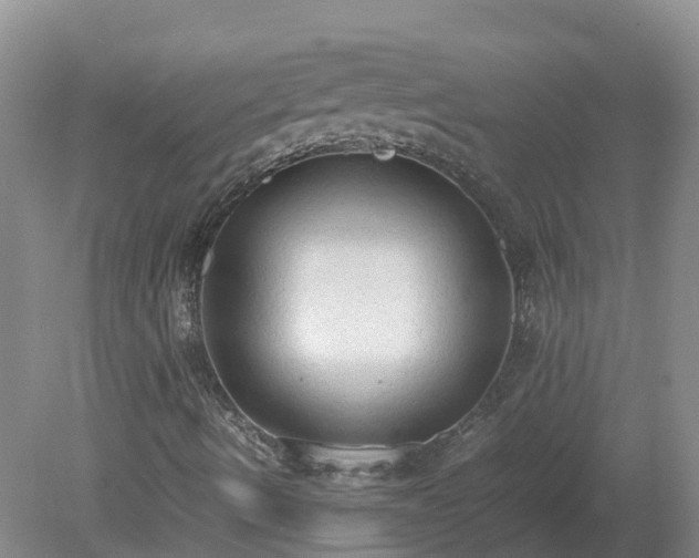 X0000079321490200611251751