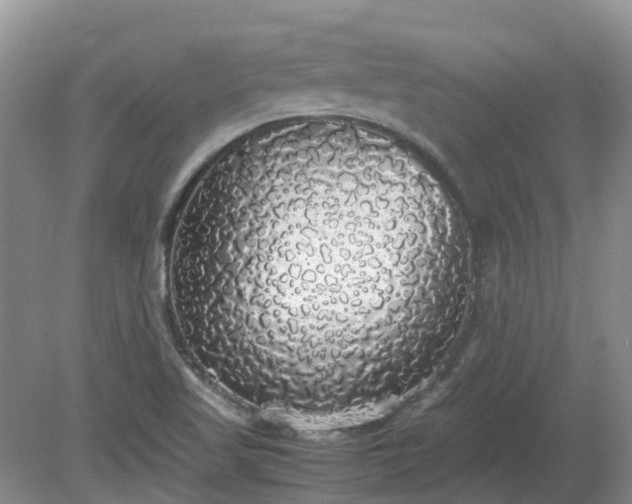 X0000079321509200611251751