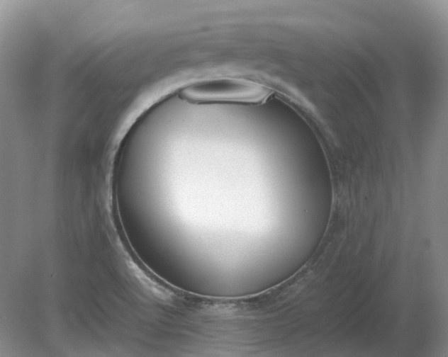 X0000079321512200611251751