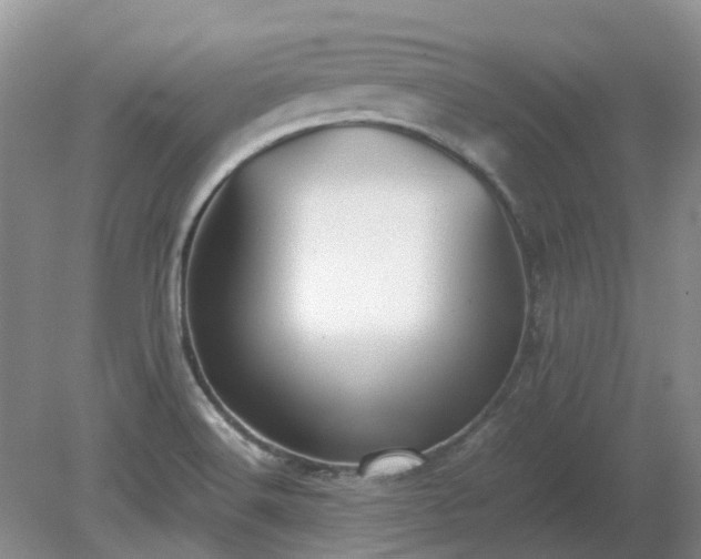 X0000079321516200611251751