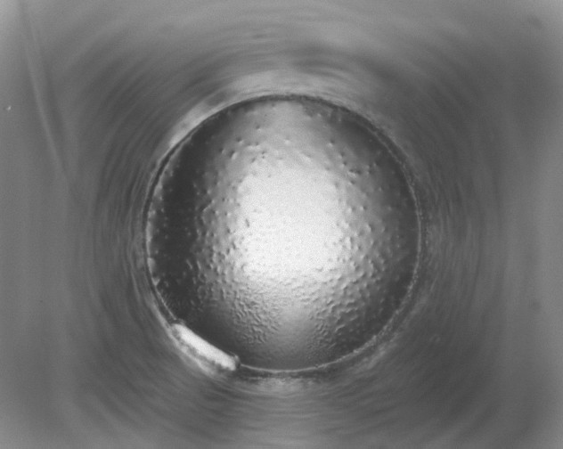 X0000079321521200611251751