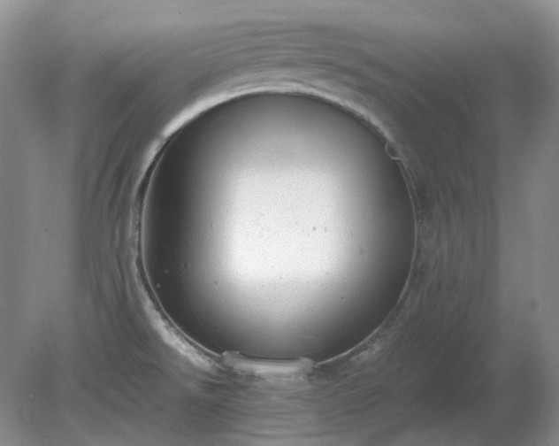 X0000079321526200611251751