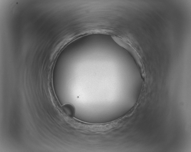 X0000079320001200612011854