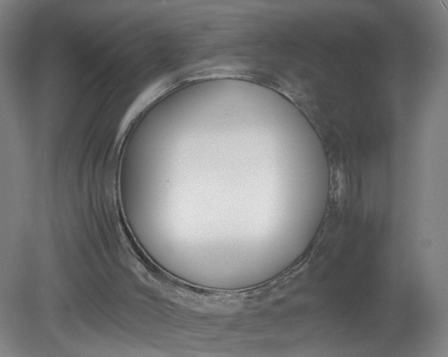 X0000079320004200612011854