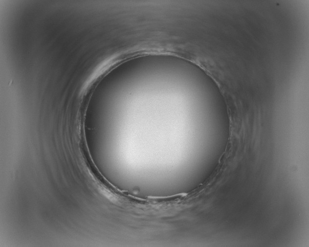 X0000079320005200612011854