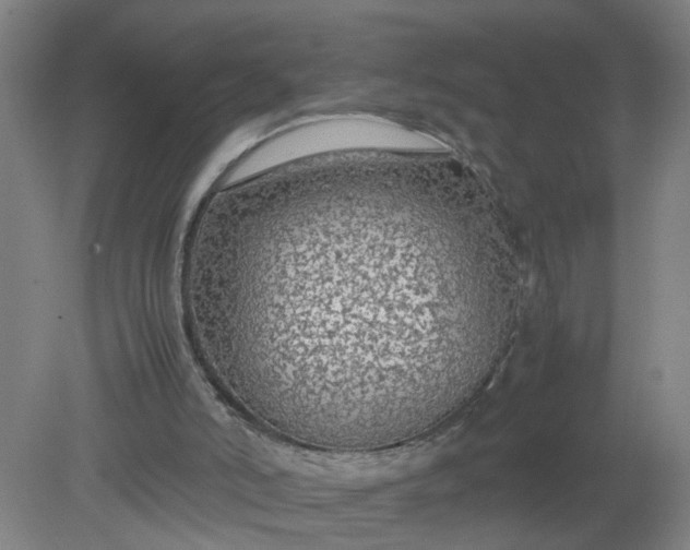 X0000079320006200612011854