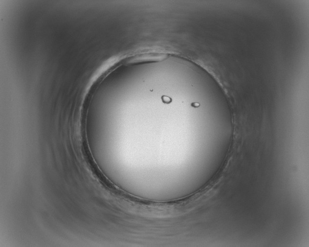 X0000079320008200612011854