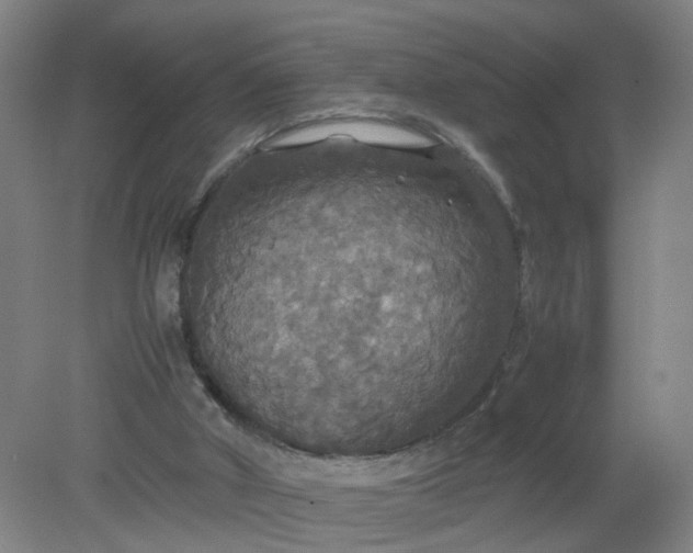 X0000079320010200612011854