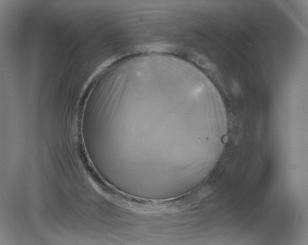 X0000079320012200612011854