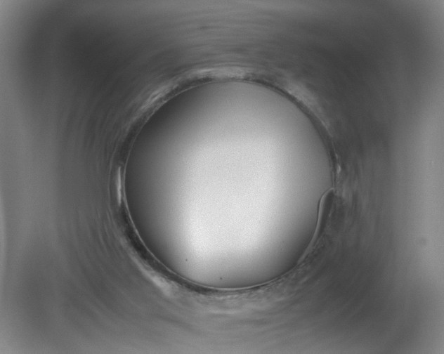 X0000079320013200612011854