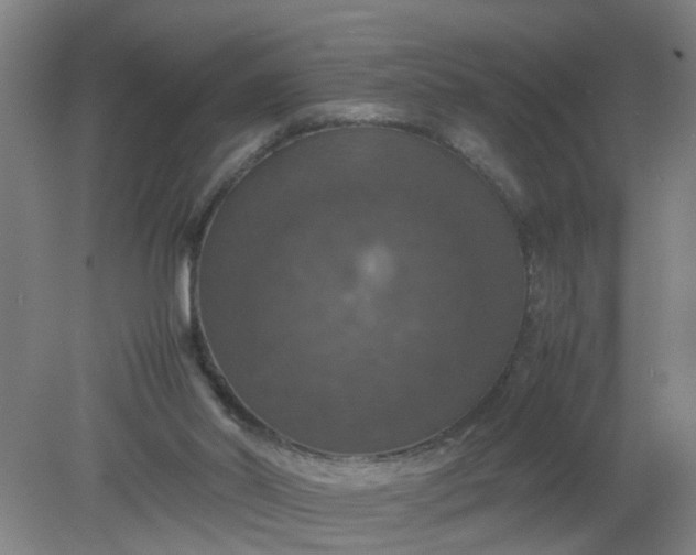 X0000079320014200612011854