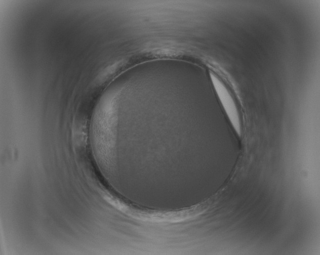 X0000079320017200612011854