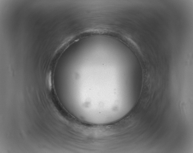 X0000079320020200612011854