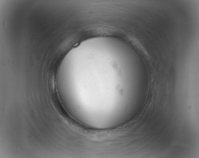 X0000079320021200612011854