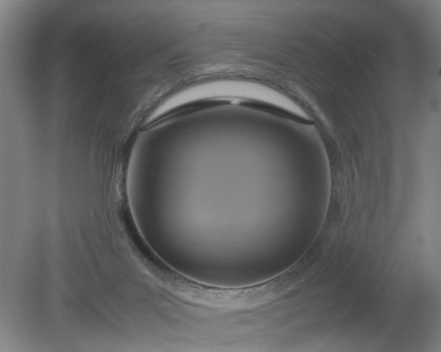 X0000079320023200612011854