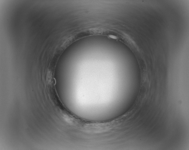 X0000079320025200612011854