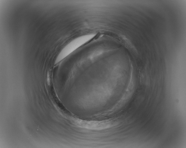 X0000079320026200612011854