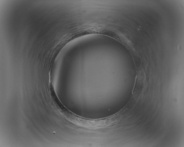 X0000079320027200612011854