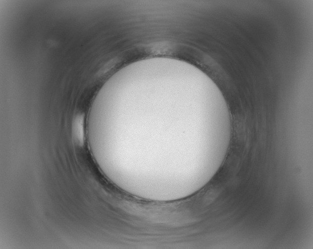 X0000079320028200612011854