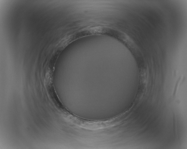 X0000079320029200612011853