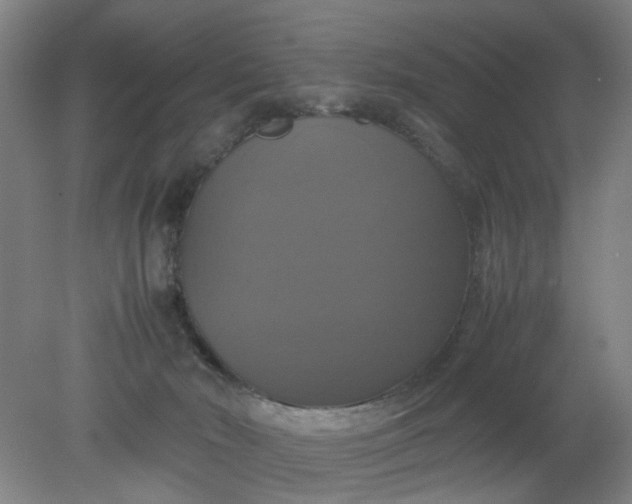 X0000079320030200612011853