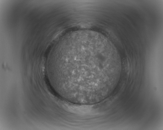 X0000079320032200612011853