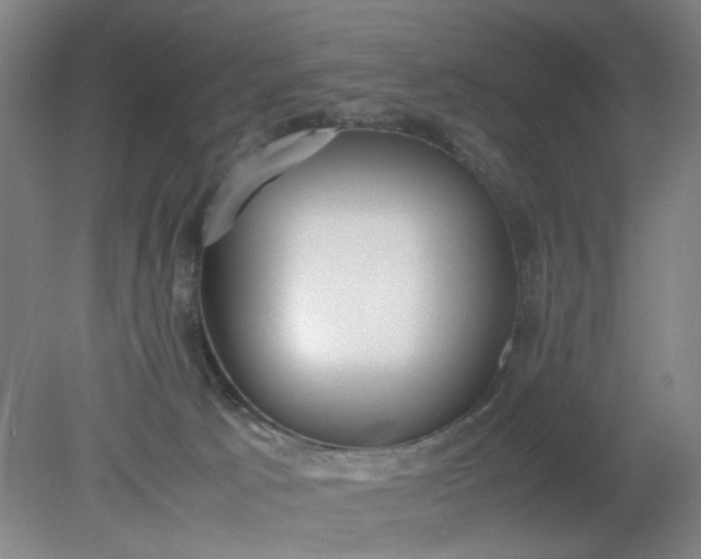 X0000079320033200612011853