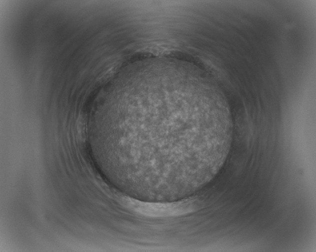 X0000079320034200612011853