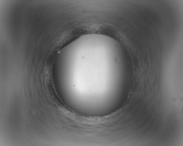 X0000079320037200612011853