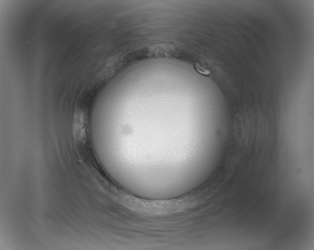 X0000079320038200612011853