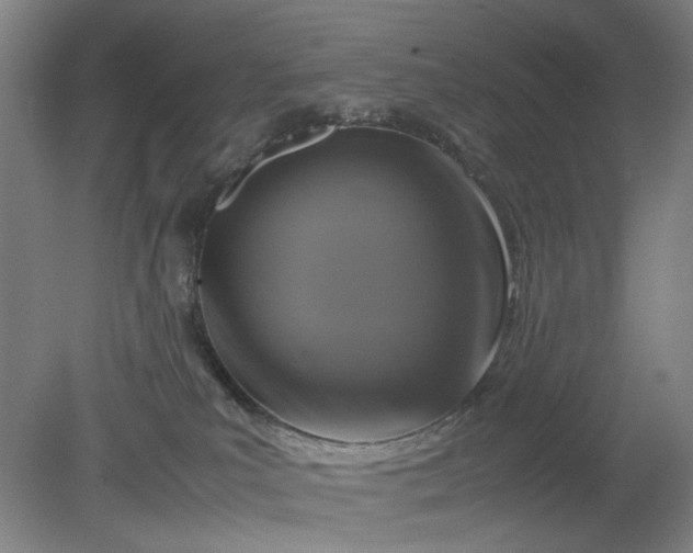 X0000079320039200612011853