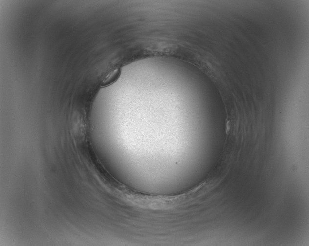 X0000079320040200612011853