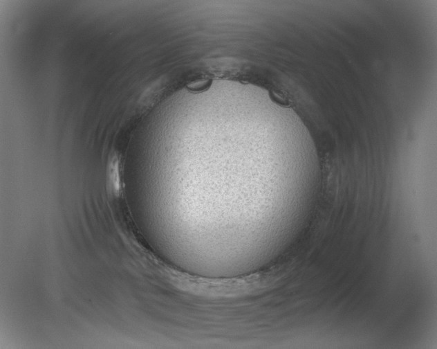 X0000079320042200612011853