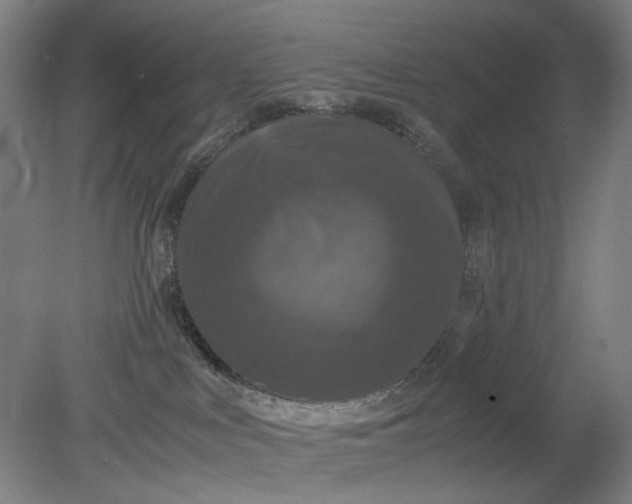 X0000079320043200612011853