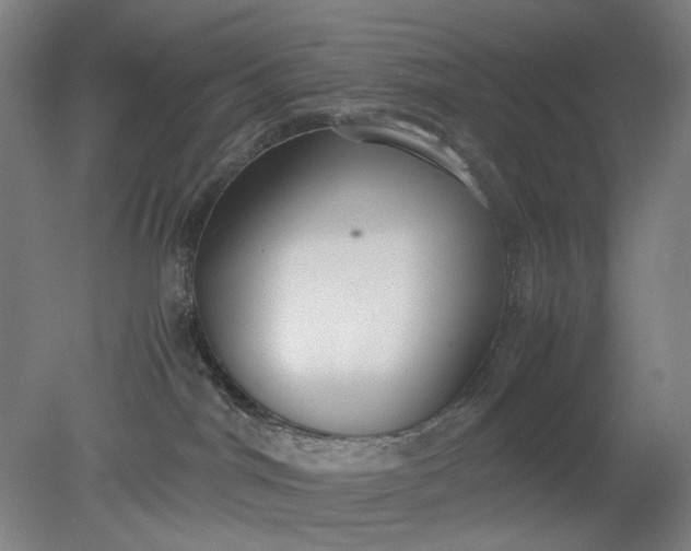 X0000079320044200612011853