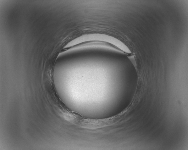 X0000079320045200612011853