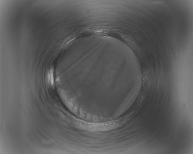 X0000079320046200612011853