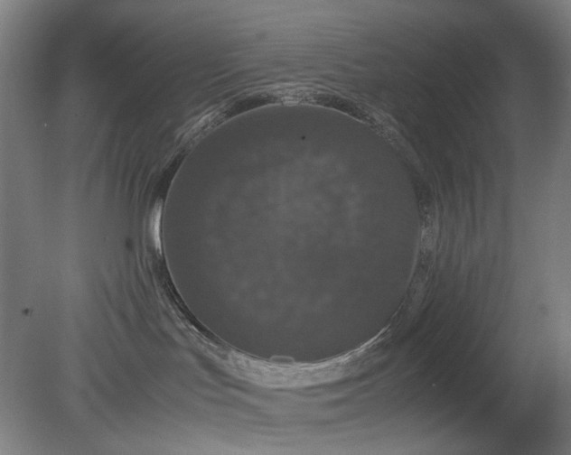 X0000079320047200612011853