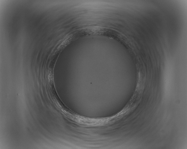 X0000079320048200612011853