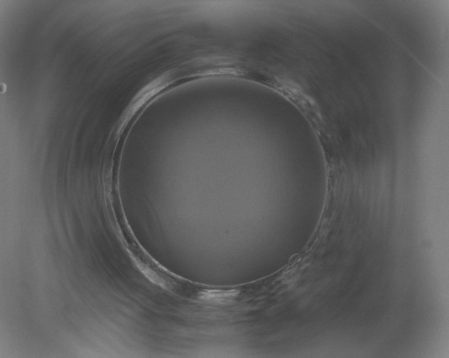 X0000079320051200612011852