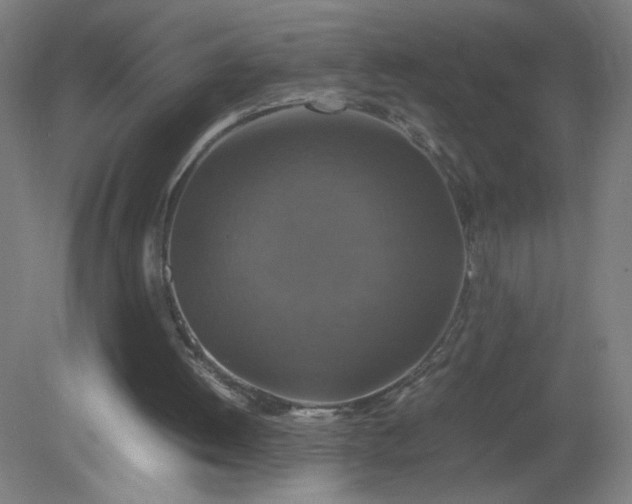 X0000079320052200612011852