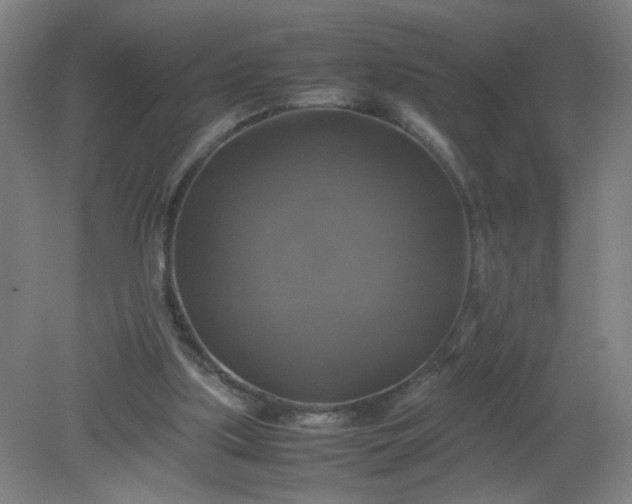 X0000079320059200612011853