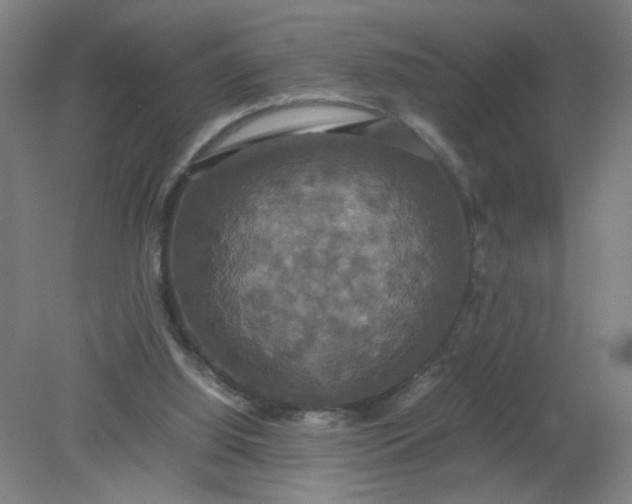 X0000079320060200612011853