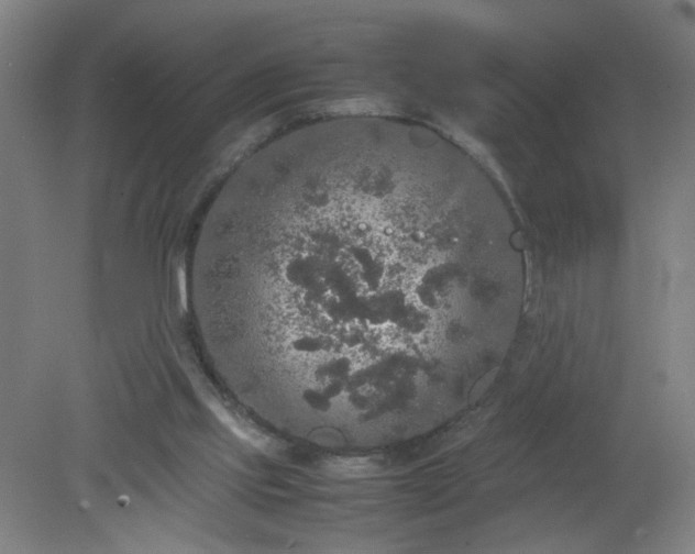 X0000079320061200612011853