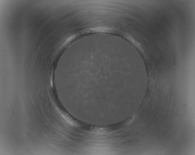 X0000079320062200612011853