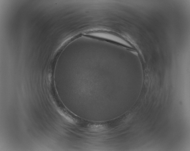 X0000079320063200612011853